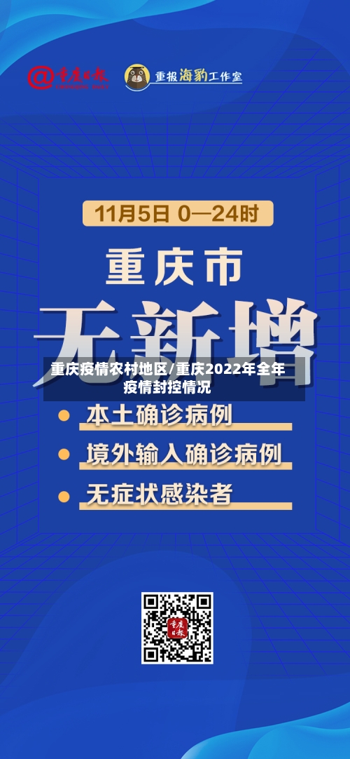 重庆疫情农村地区/重庆2022年全年疫情封控情况