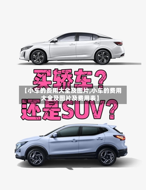 【小车的费用大全及图片,小车的费用大全及图片及费用表】