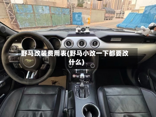 野马改装费用表(野马小改一下都要改什么)-第2张图片