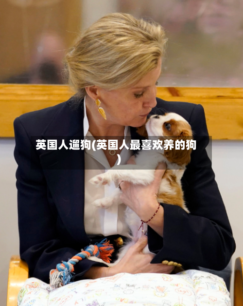 英国人遛狗(英国人最喜欢养的狗)-第2张图片