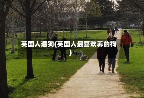 英国人遛狗(英国人最喜欢养的狗)