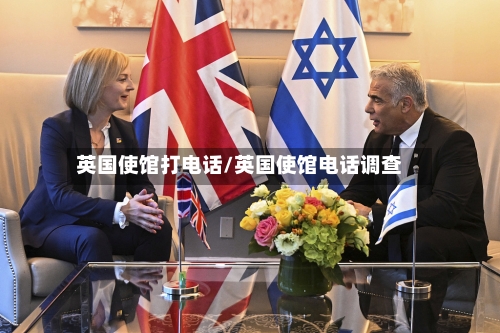 英国使馆打电话/英国使馆电话调查-第2张图片