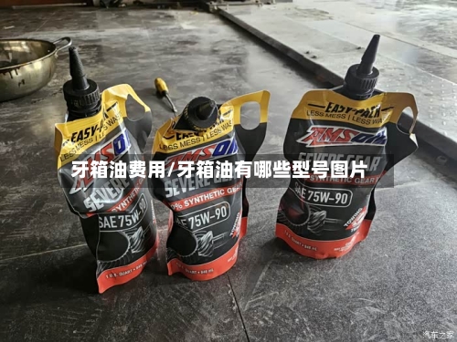 牙箱油费用/牙箱油有哪些型号图片