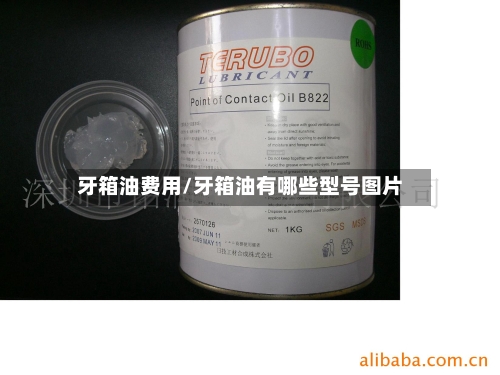 牙箱油费用/牙箱油有哪些型号图片-第2张图片
