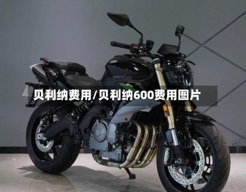 贝利纳费用/贝利纳600费用图片