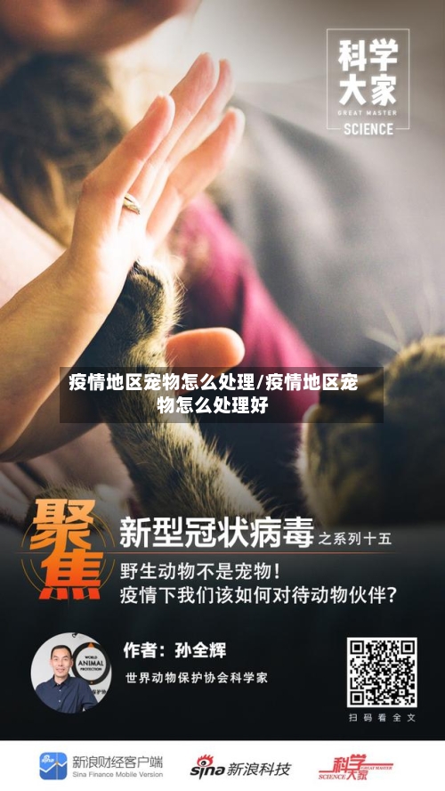 疫情地区宠物怎么处理/疫情地区宠物怎么处理好-第2张图片