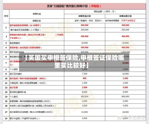 【英国买申根签保险,申根签证保险哪里买比较好】-第2张图片