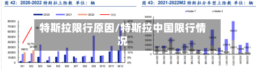 特斯拉限行原因/特斯拉中国限行情况-第2张图片