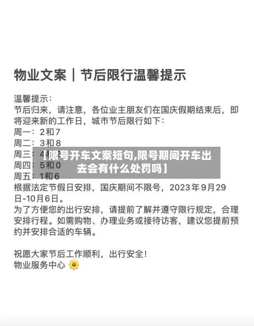 【限号开车文案短句,限号期间开车出去会有什么处罚吗】-第2张图片