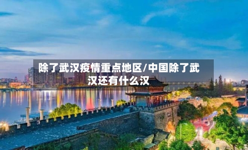 除了武汉疫情重点地区/中国除了武汉还有什么汉
