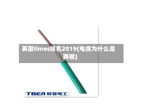 英国times排名2019(电线为什么是两根)