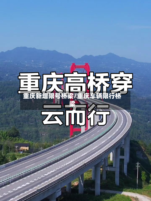 重庆新增限号桥梁/重庆车辆限行桥梁-第2张图片