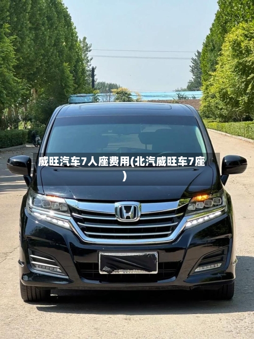 威旺汽车7人座费用(北汽威旺车7座)-第3张图片