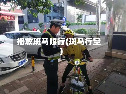 播放斑马限行(斑马行空)