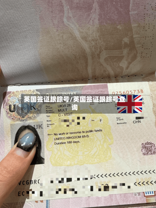 英国签证跟踪号/英国签证跟踪号查询-第2张图片