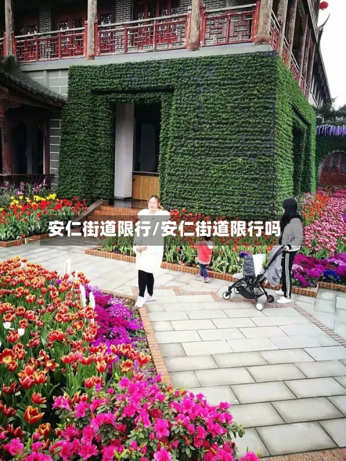 安仁街道限行/安仁街道限行吗