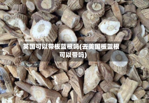 英国可以带板蓝根吗(去美国板蓝根可以带吗)-第2张图片