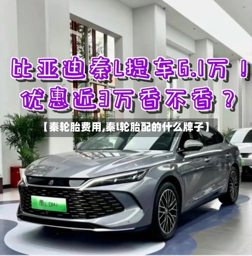 【秦轮胎费用,秦l轮胎配的什么牌子】