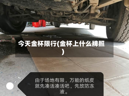 今天金杯限行(金杯上什么牌照)