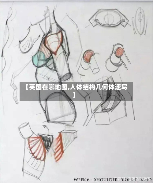 【英国在哪地图,人体结构几何体速写】-第2张图片