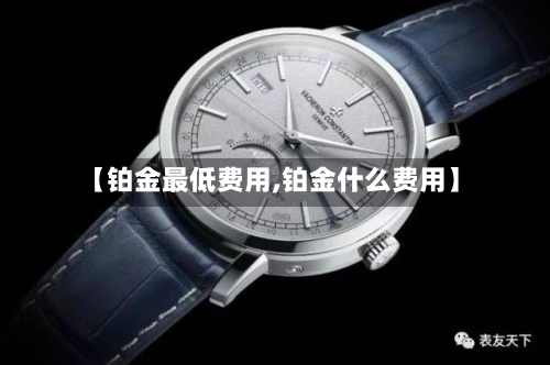 【铂金最低费用,铂金什么费用】-第2张图片