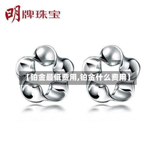 【铂金最低费用,铂金什么费用】