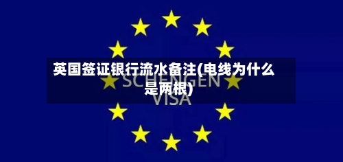 英国签证银行流水备注(电线为什么是两根)-第2张图片