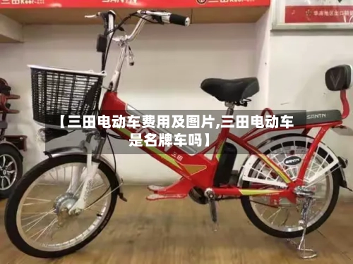 【三田电动车费用及图片,三田电动车是名牌车吗】