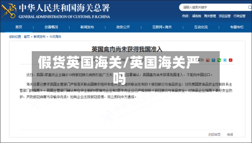 假货英国海关/英国海关严吗-第2张图片