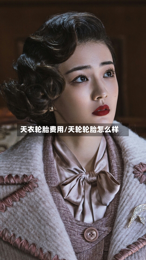 天衣轮胎费用/天轮轮胎怎么样-第2张图片