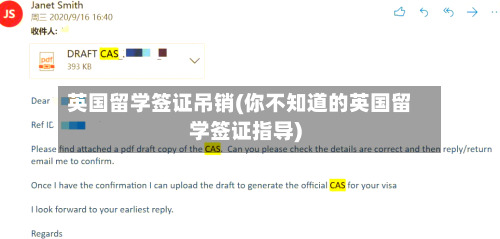 英国留学签证吊销(你不知道的英国留学签证指导)-第3张图片