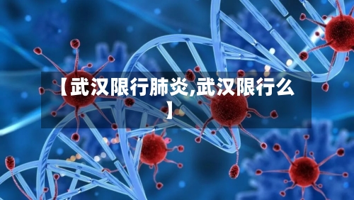 【武汉限行肺炎,武汉限行么】-第2张图片