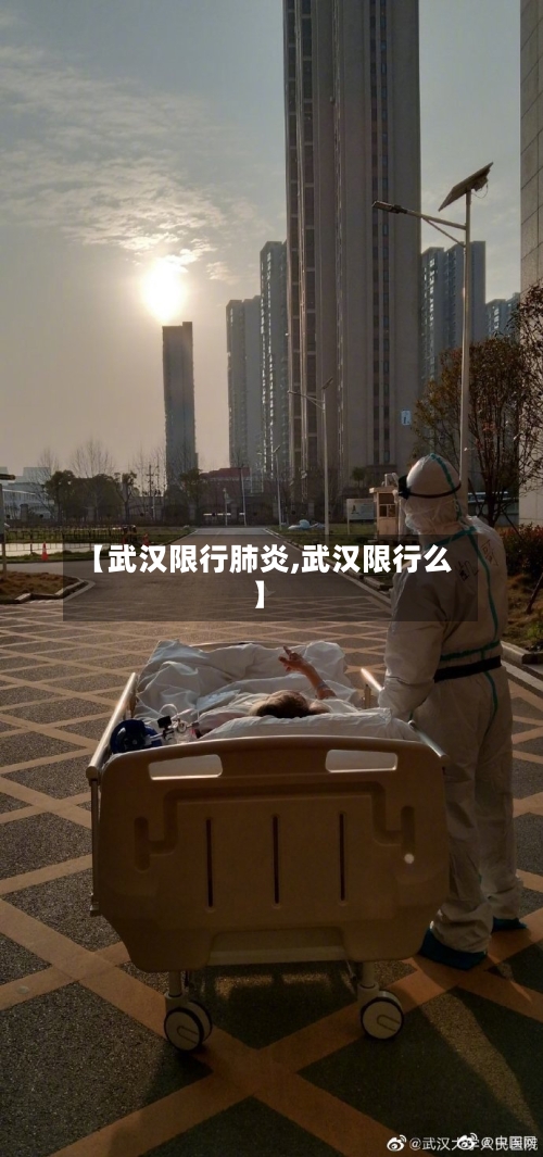 【武汉限行肺炎,武汉限行么】