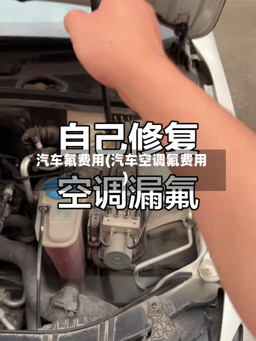 汽车氟费用(汽车空调氟费用)