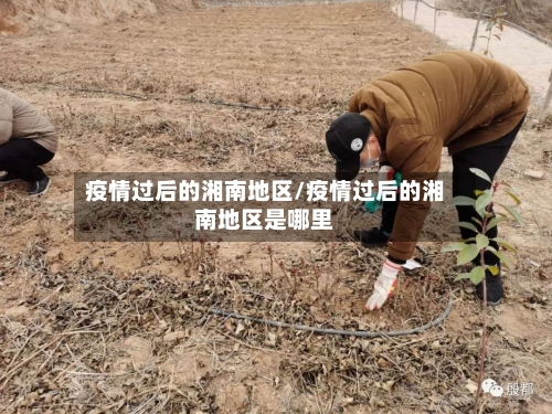 疫情过后的湘南地区/疫情过后的湘南地区是哪里-第2张图片