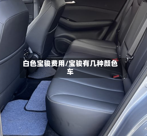 白色宝骏费用/宝骏有几种颜色车