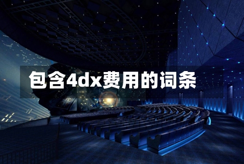 包含4dx费用的词条