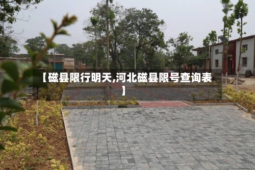 【磁县限行明天,河北磁县限号查询表】-第3张图片