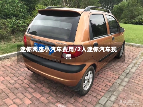 迷你两座小汽车费用/2人迷你汽车现售-第2张图片