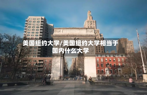美国纽约大学/美国纽约大学相当于国内什么大学