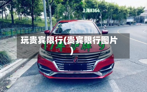 玩贵宾限行(贵宾限行图片)-第2张图片