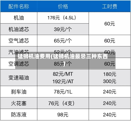 猛狮机油费用(猛狮机油最忌三种东西)-第2张图片