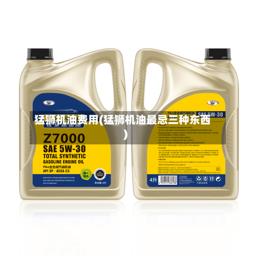 猛狮机油费用(猛狮机油最忌三种东西)-第3张图片