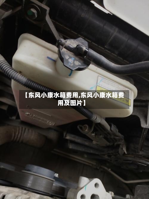 【东风小康水箱费用,东风小康水箱费用及图片】