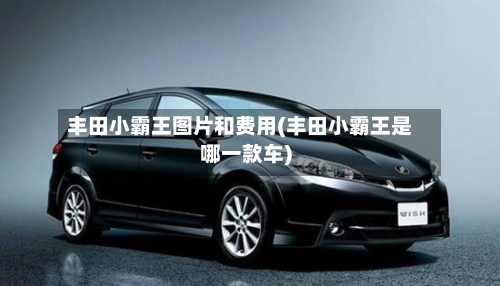 丰田小霸王图片和费用(丰田小霸王是哪一款车)