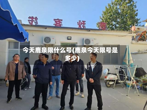 今天鹿泉限什么号(鹿泉今天限号是多少)