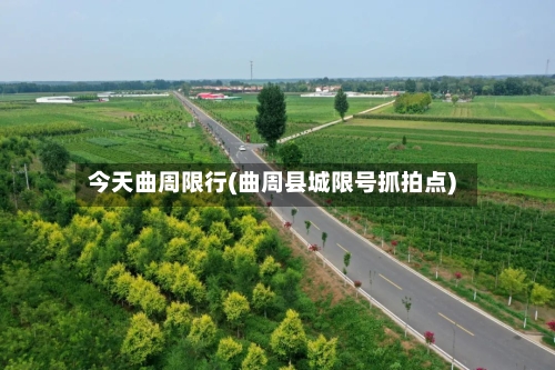 今天曲周限行(曲周县城限号抓拍点)-第2张图片