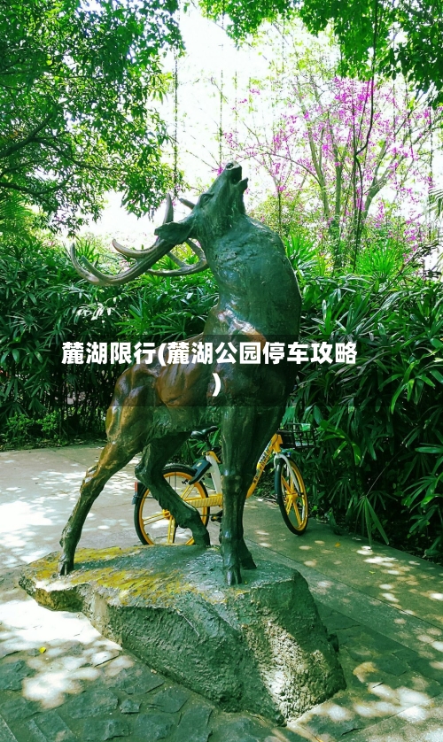 麓湖限行(麓湖公园停车攻略)