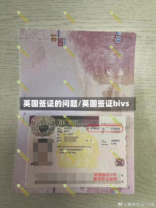 英国签证的问题/英国签证bivs-第2张图片