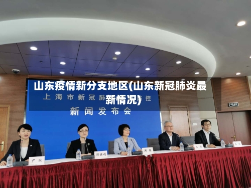 山东疫情新分支地区(山东新冠肺炎最新情况)